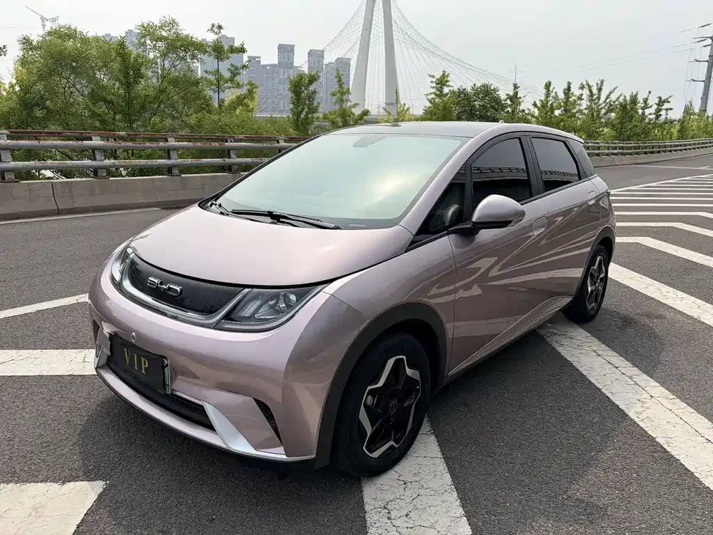 BYD Dolphin 2021