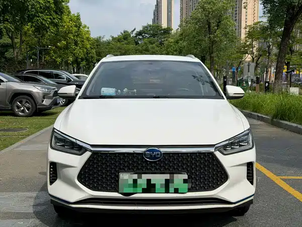 BYD e2 2021