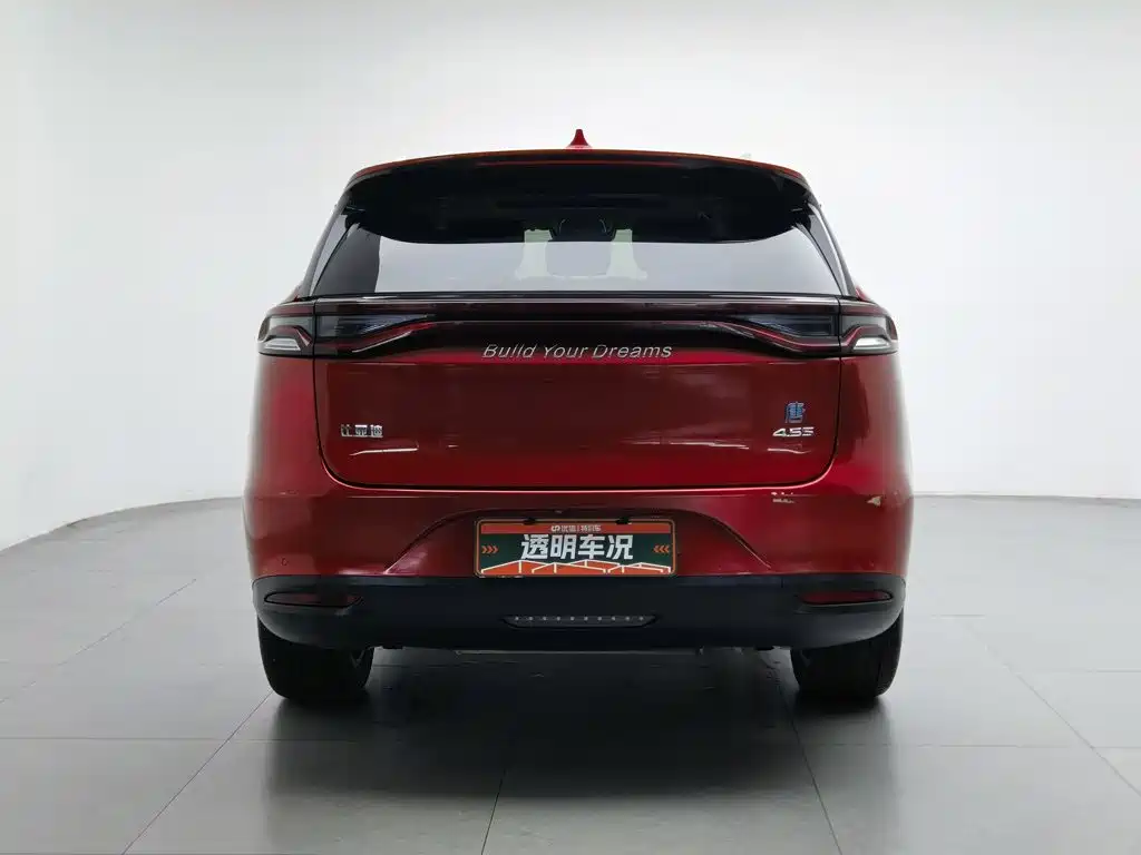 BYD Tang New Energy 2019 — фото 4