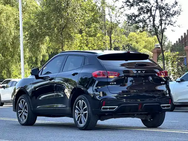 Wey VV5 2020
