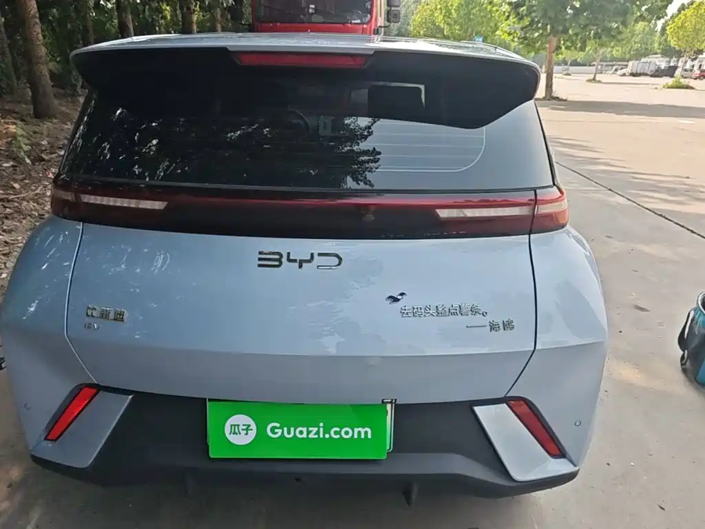 BYD Seagull 2024