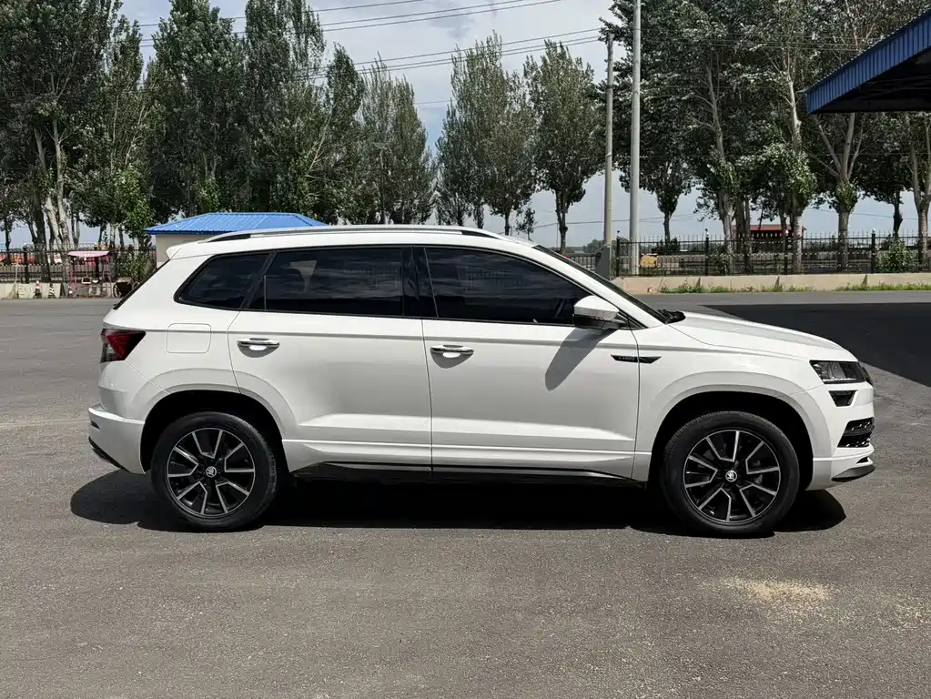 Skoda Karoq 2022 — фото 6