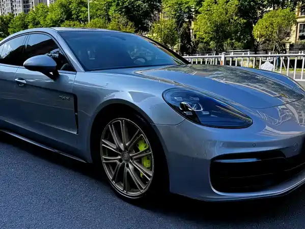 Porsche Panamera New Energy 2021