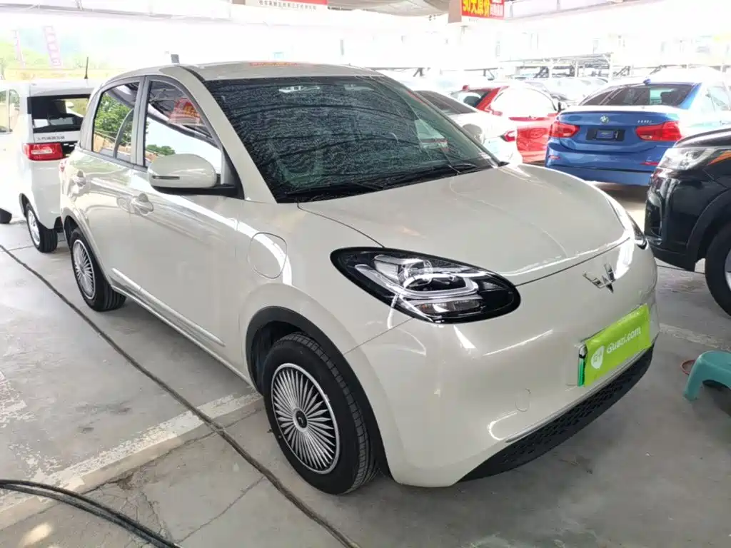 Wuling Bingo 2024