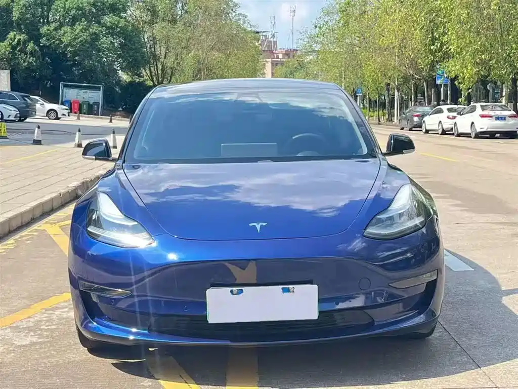 Tesla Model 3 2020 — фото 2
