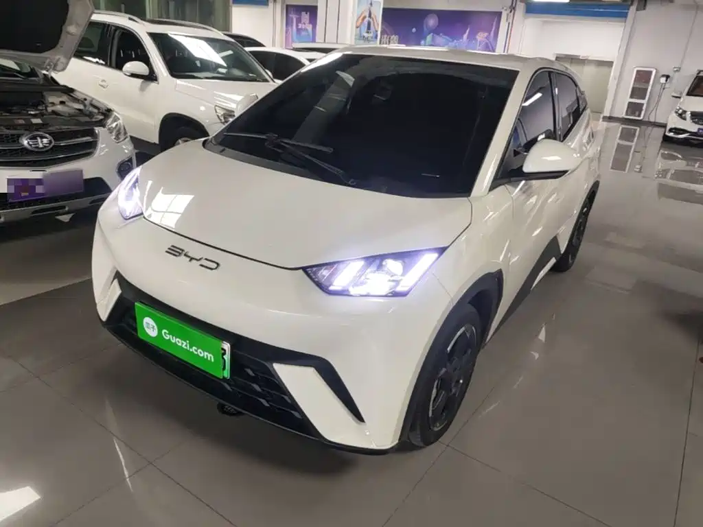 BYD Seagull 2024