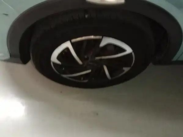 Neta V 2022