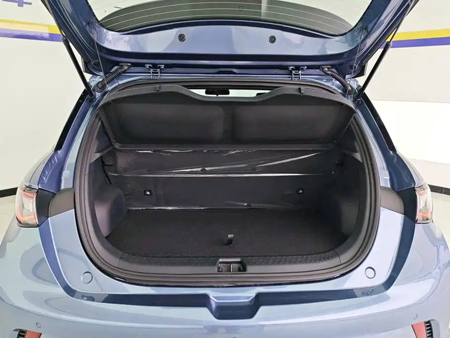 BYD Dolphin 2026