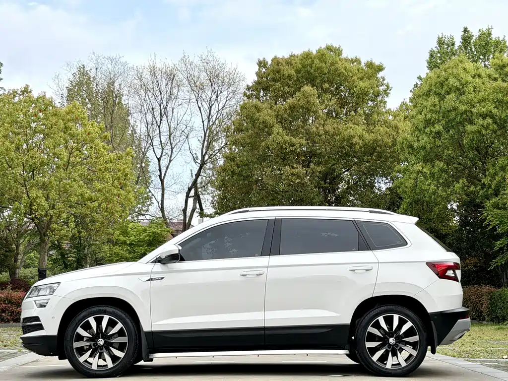 Skoda Karoq 2019 — фото 4