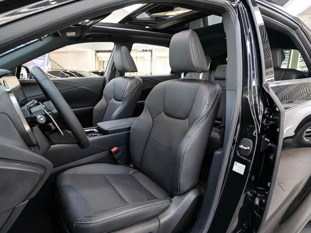 Lexus RX New Energy 2023 — фото 11