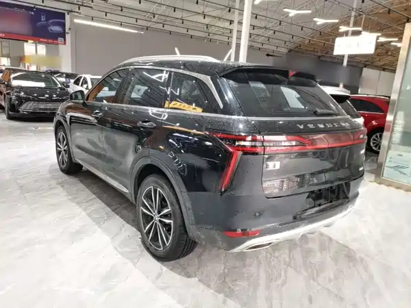 Venucia Star 2020