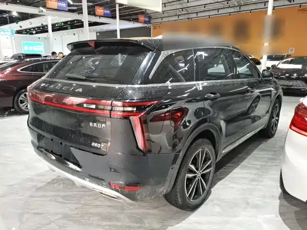 Venucia Star 2020