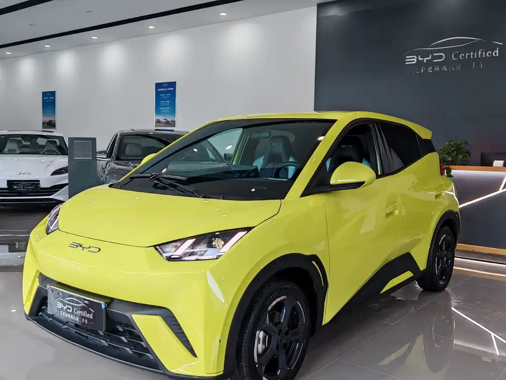 BYD Seagull 2024