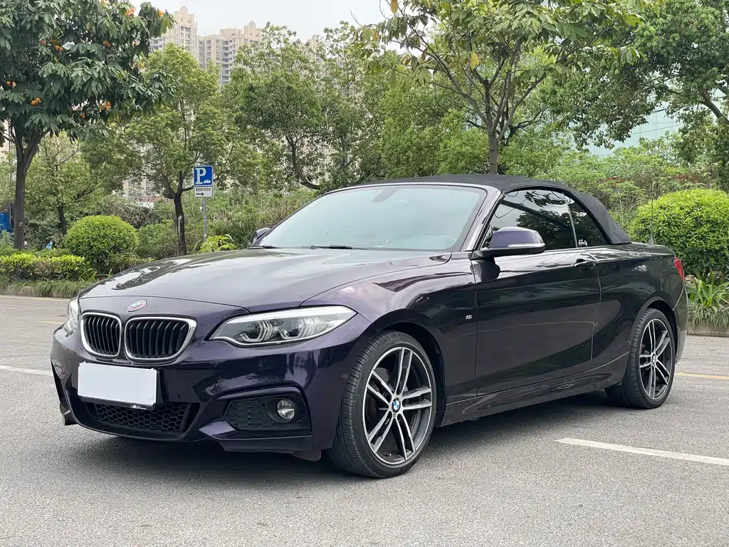 BMW 2 Series 2019 — фото 15