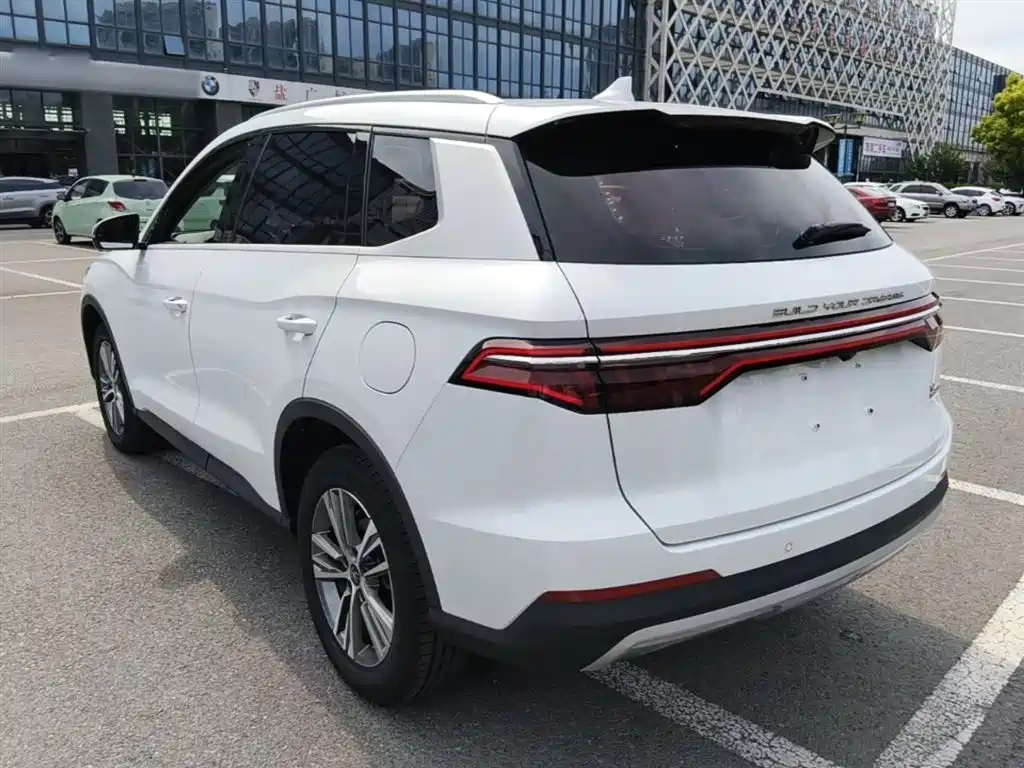 BYD Pro 2020 — фото 5