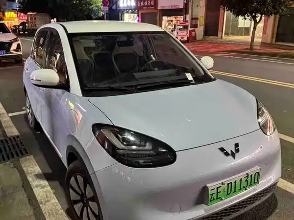 Wuling Bingo 2024