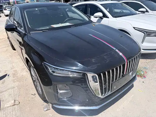 Hongqi H5 2024
