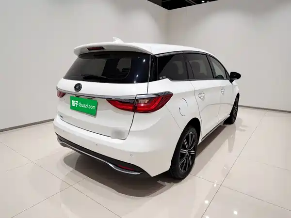 BYD Song MAX New Energy 2019