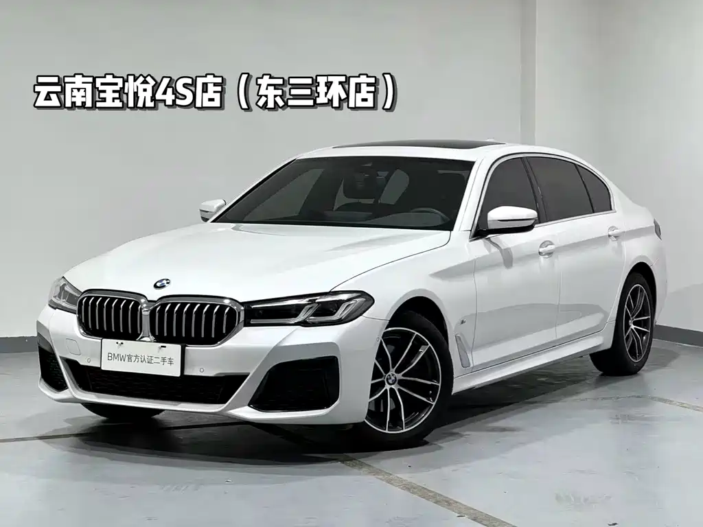 BMW 5 Series 2021