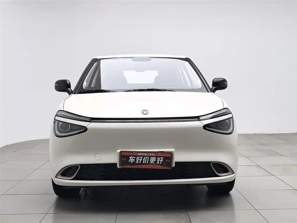 Dongfeng Nano 01 2025
