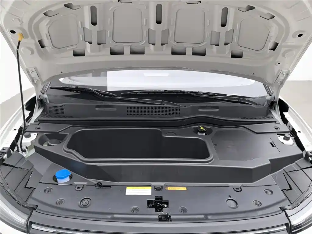 Dongfeng Nano 01 2025