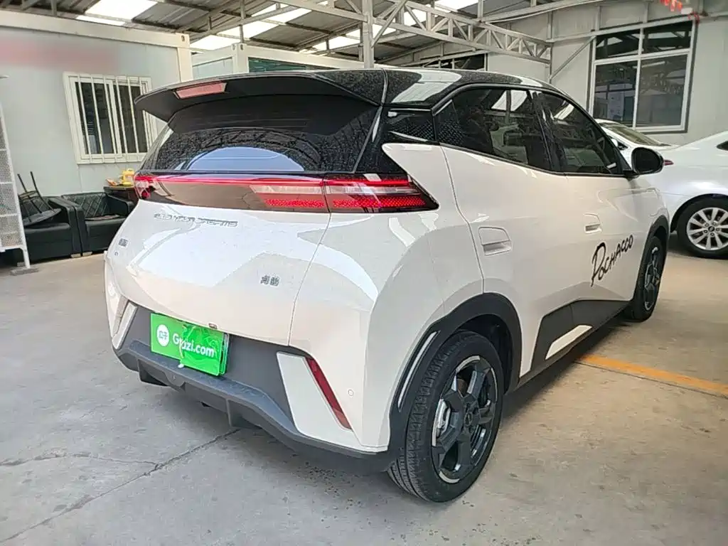 BYD Seagull 2024