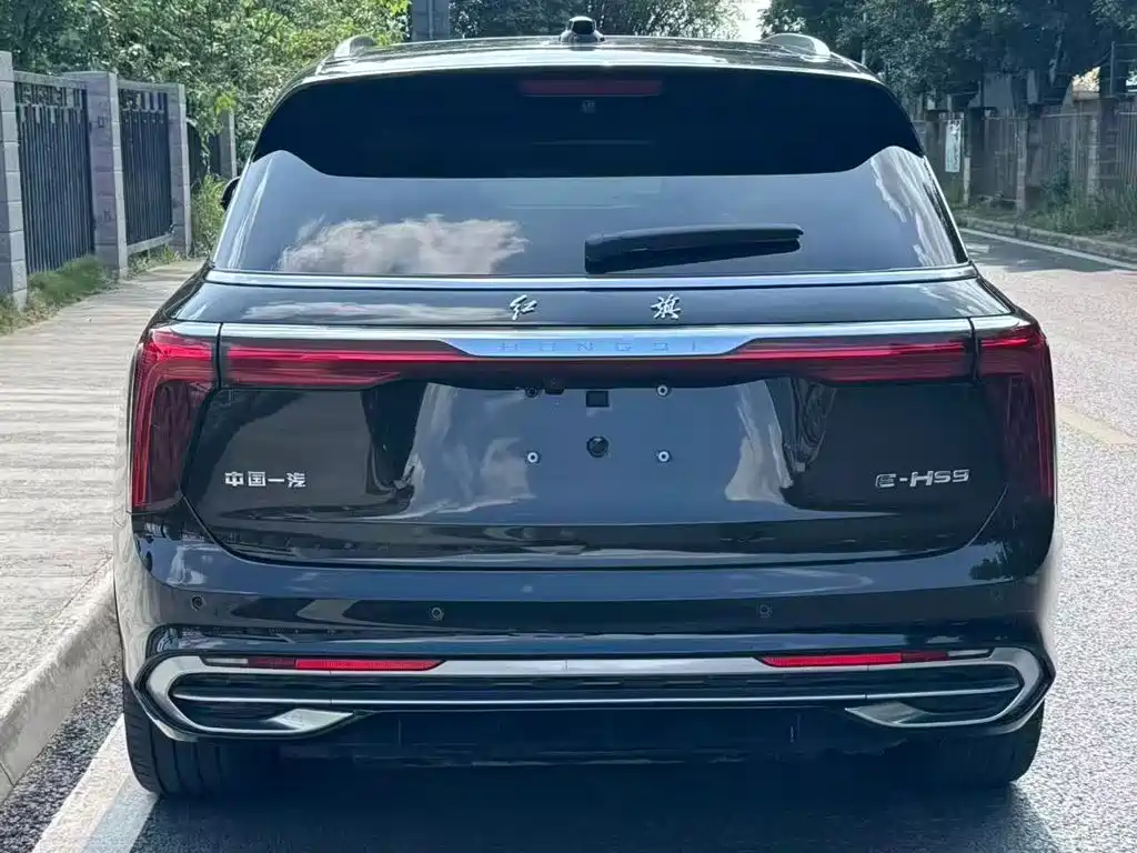 Hongqi E-HS9 2021