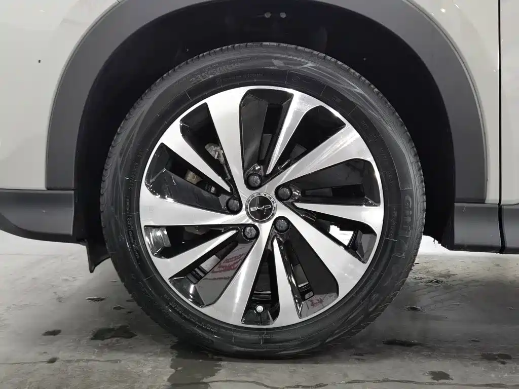 BYD Song PLUS New Energy 2024 — фото 17