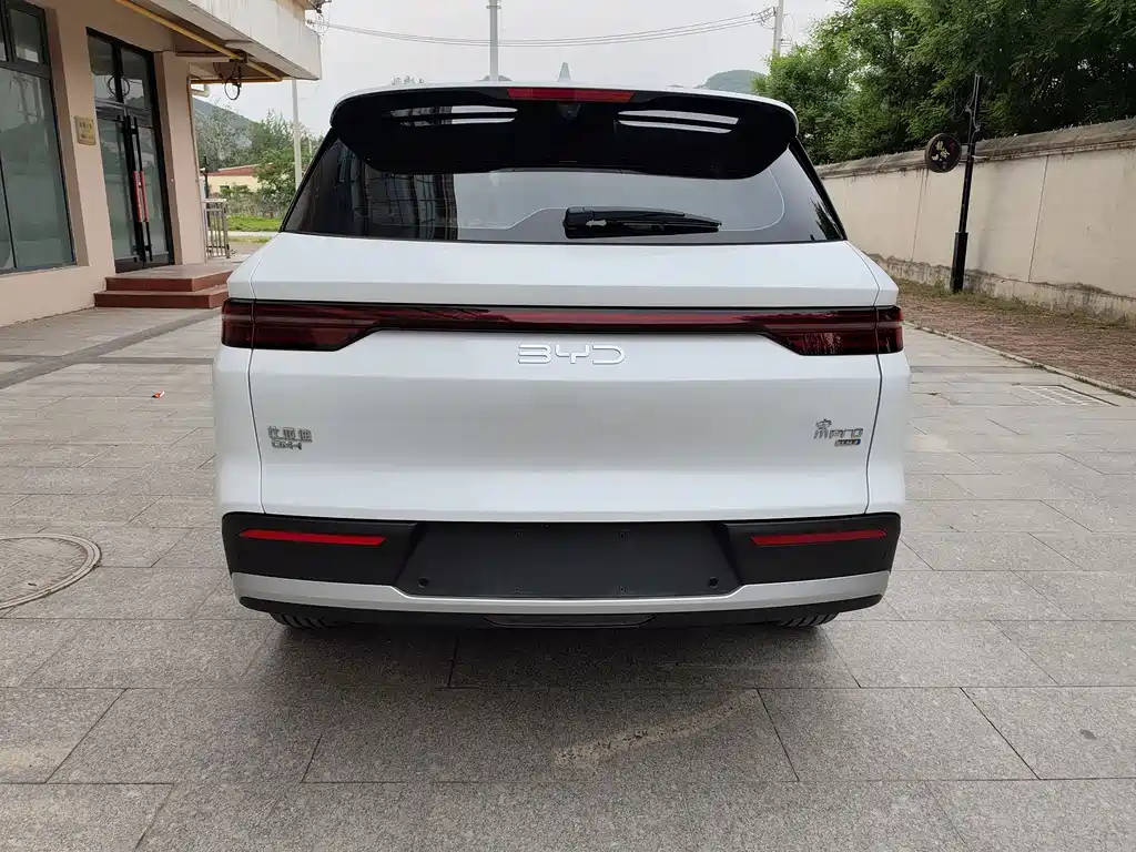 BYD Pro New Energy 2025 — фото 4