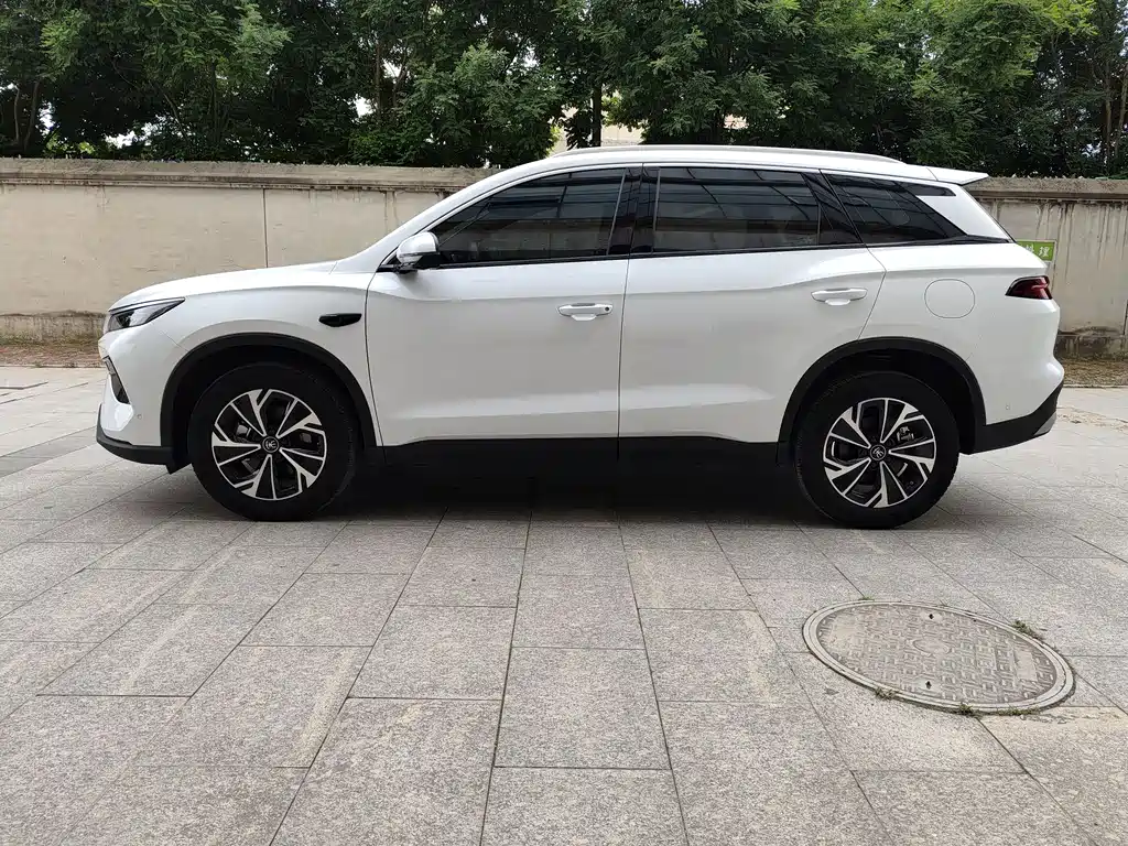BYD Pro New Energy 2025 — фото 3