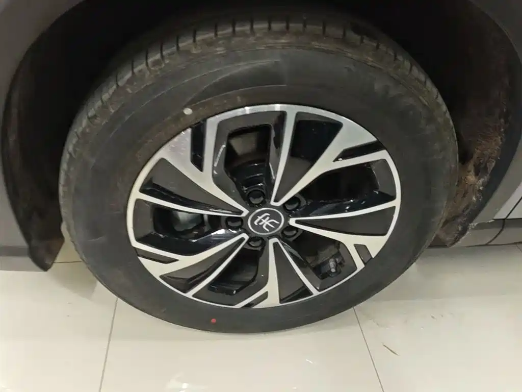 BYD Pro New Energy 2025 — фото 23