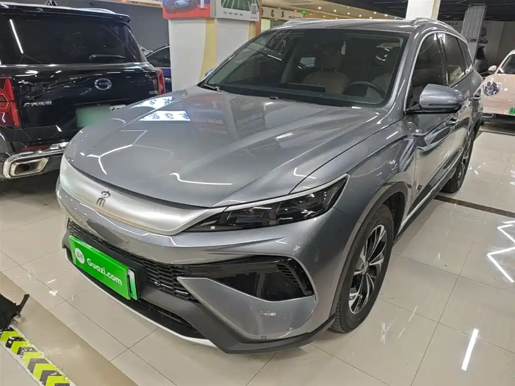 BYD Pro New Energy 2025