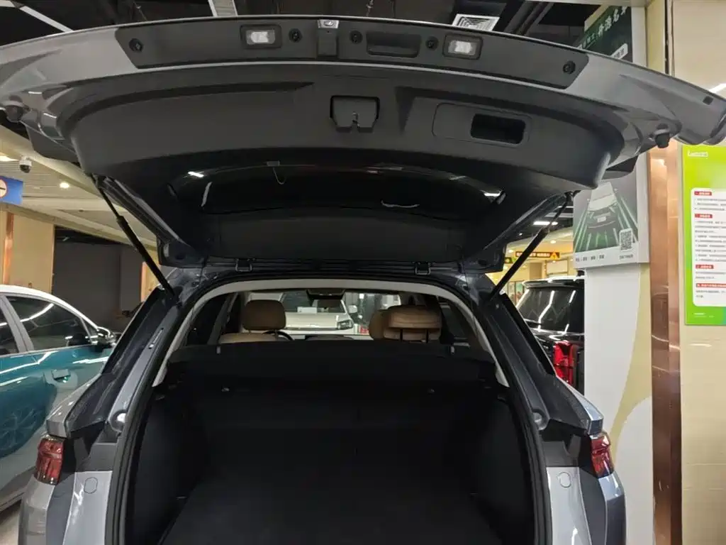 BYD Pro New Energy 2025 — фото 19