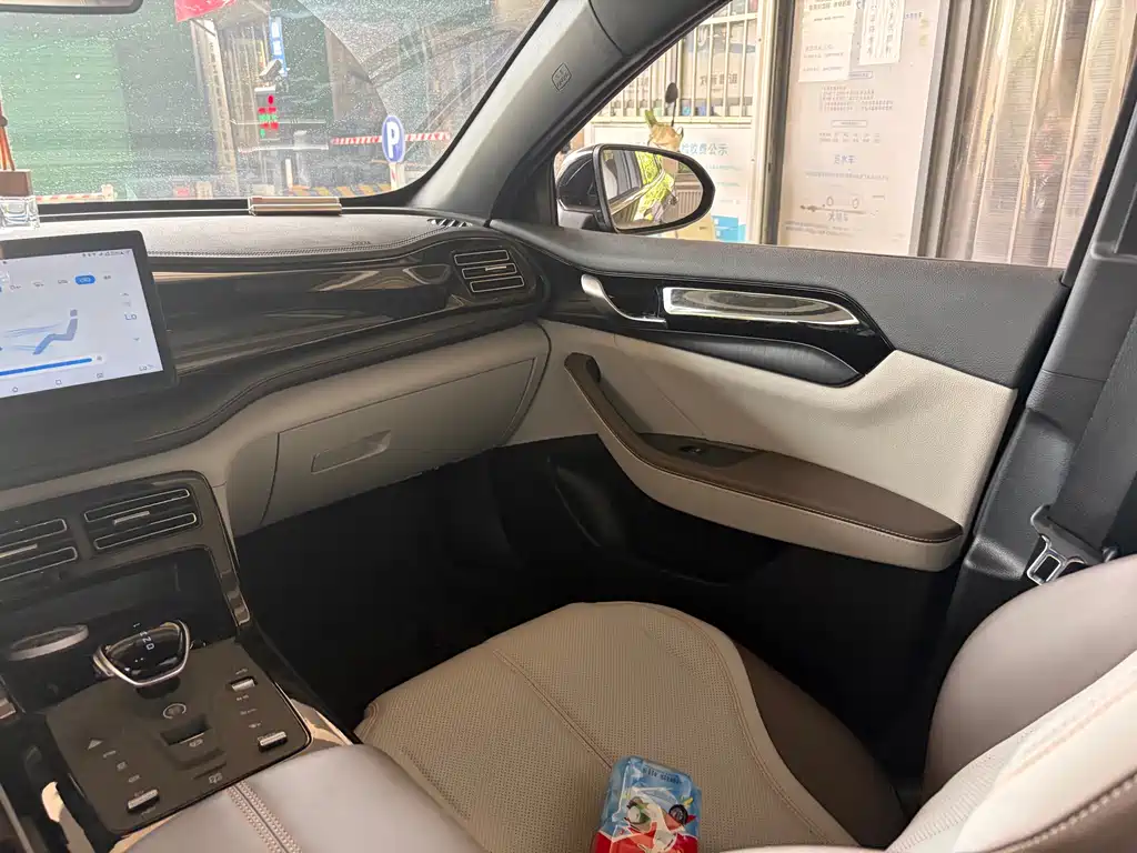 BYD Qin PLUS 2024 — фото 12