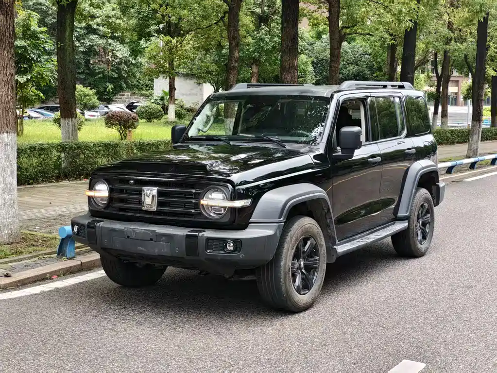 Tank 300 2025
