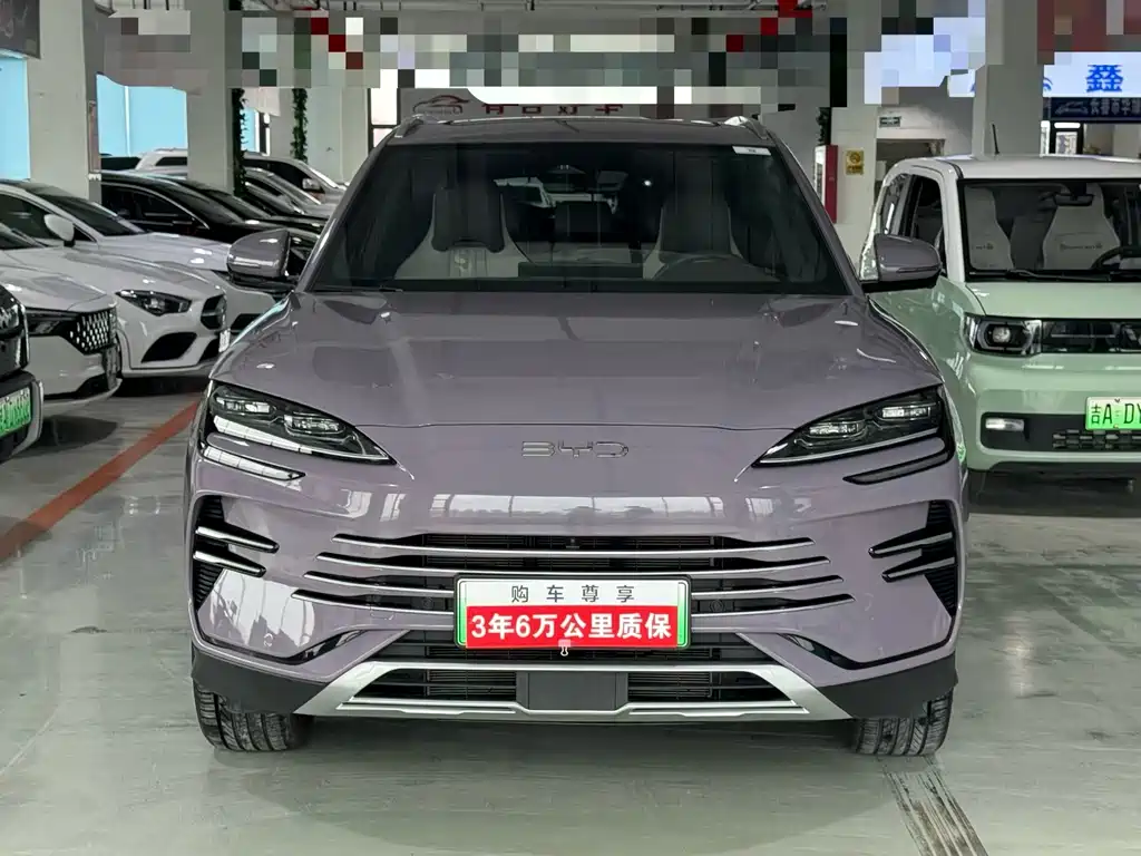 BYD PLUS New Energy 2024 — фото 2