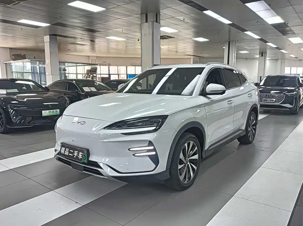 BYD PLUS New Energy 2023 — фото 1