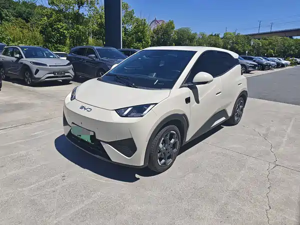 BYD Seagull 2025
