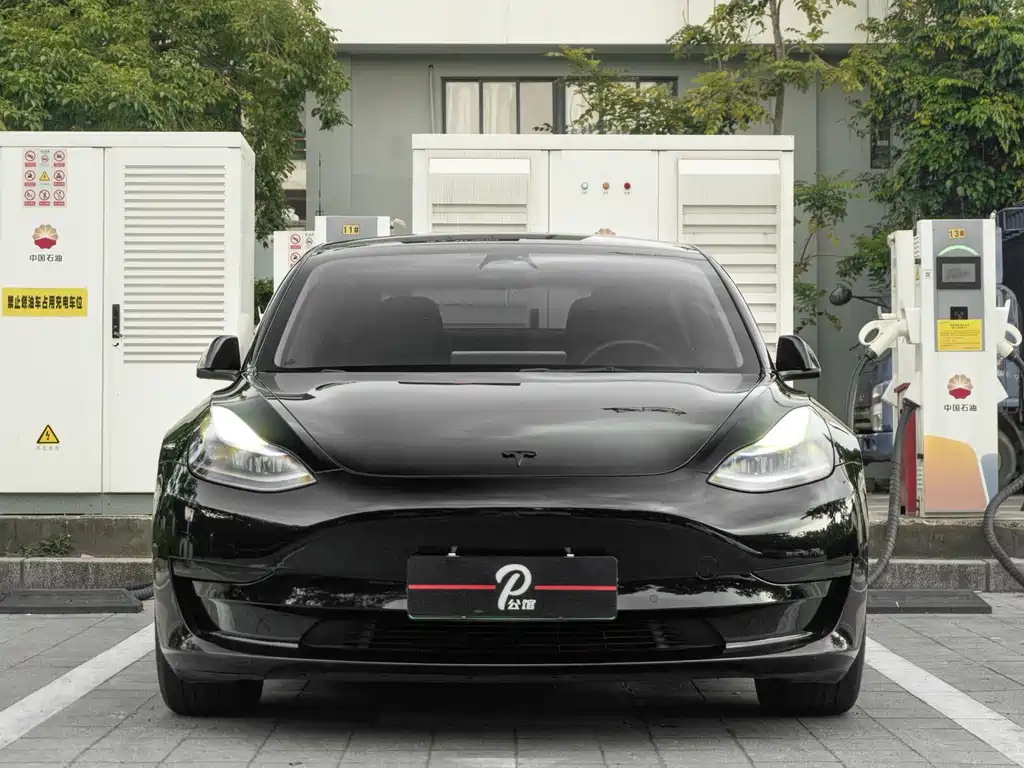 Tesla Model 3 2023 — фото 2