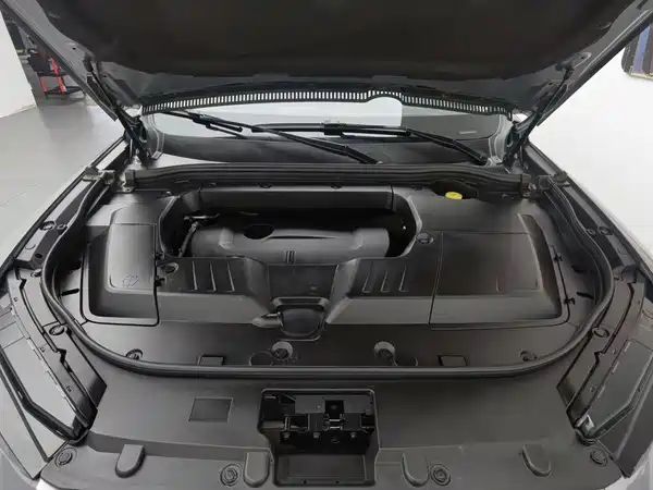 Wey VV6 2021