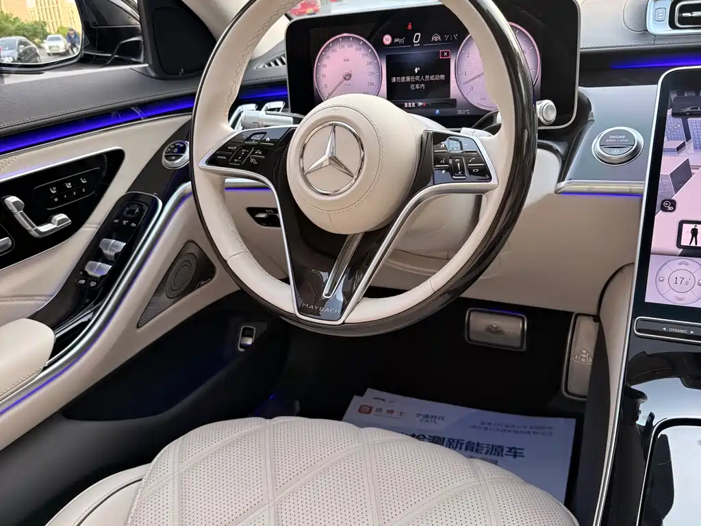 Mercedes-Benz S-Class 2025 — фото 18