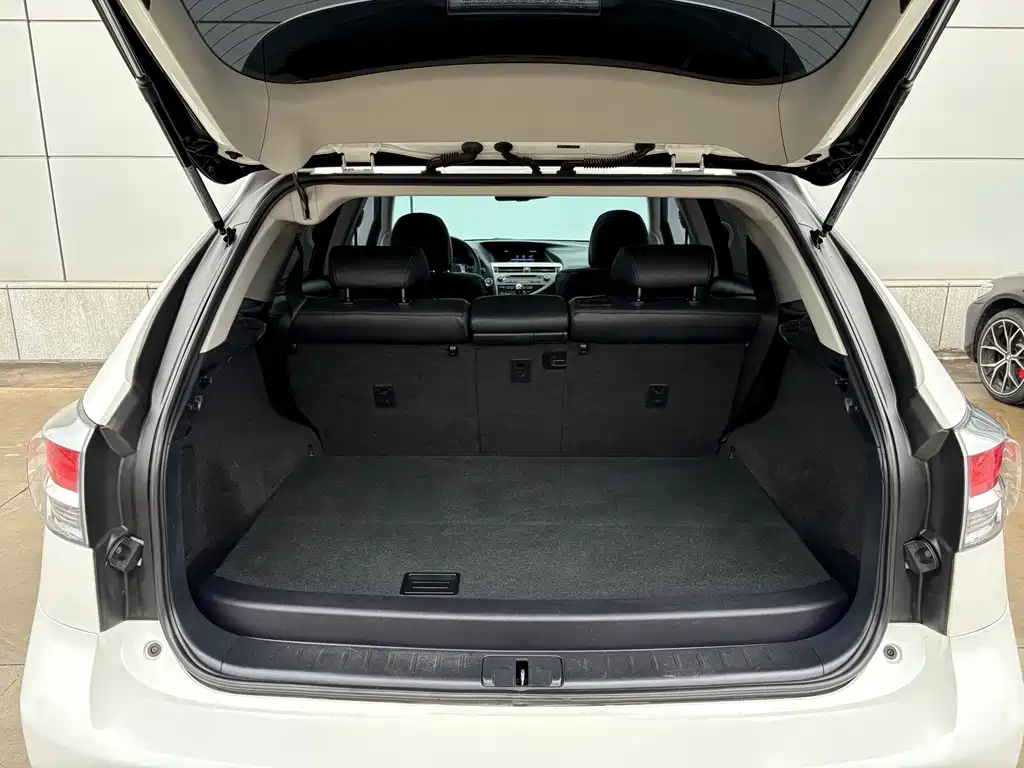 Lexus RX Classic 2013 — фото 15
