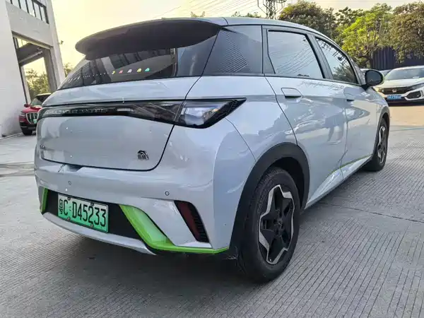 BYD Dolphin 2022