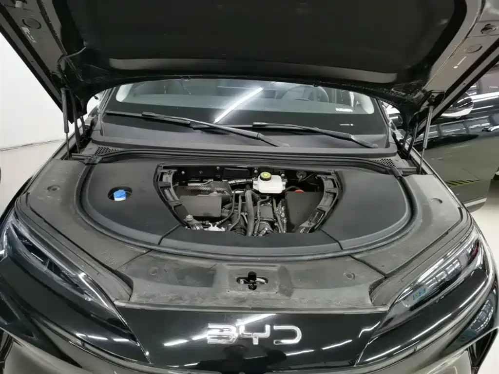 BYD Sealion 07 DM-i 2025 — фото 20