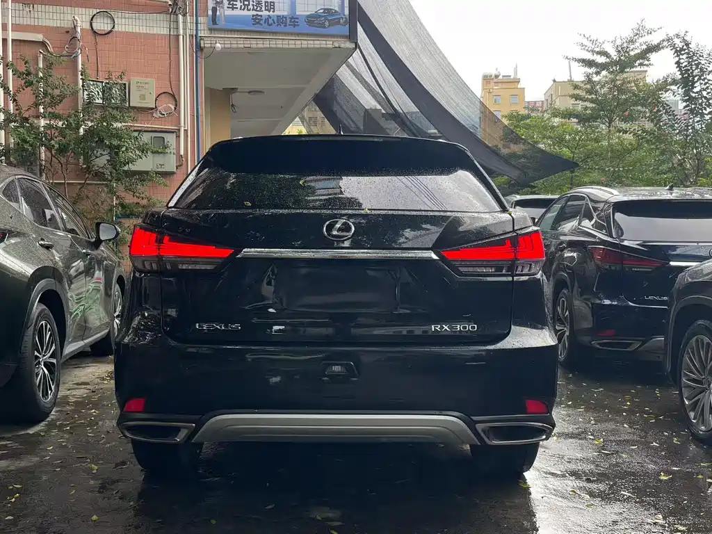 Lexus RX 2022 — фото 9