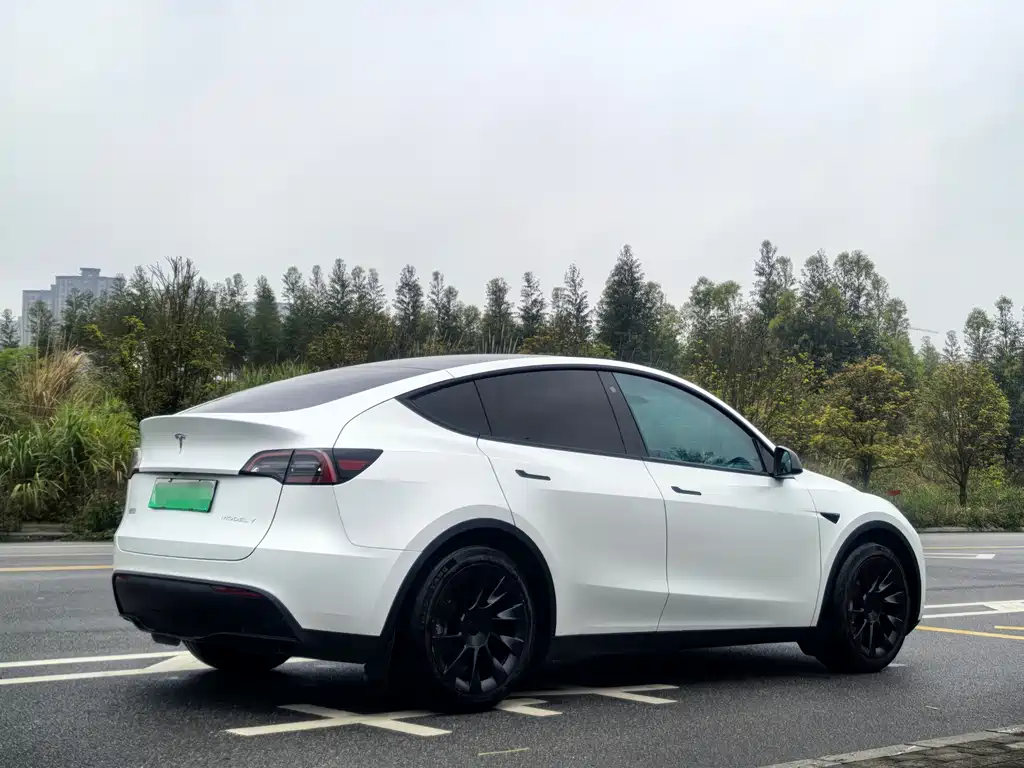 Tesla Model Y 2023 — фото 6