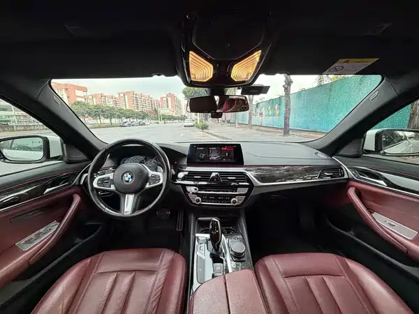 BMW 5 Series 2019