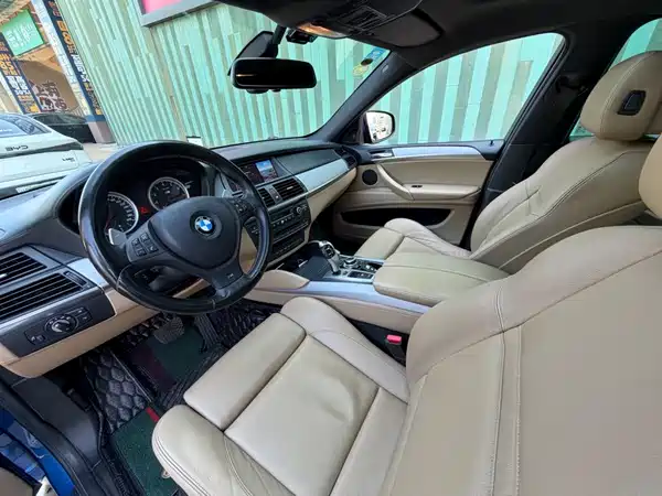BMW X6 M 2010