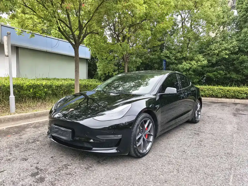 Tesla Model 3 2021 — фото 1