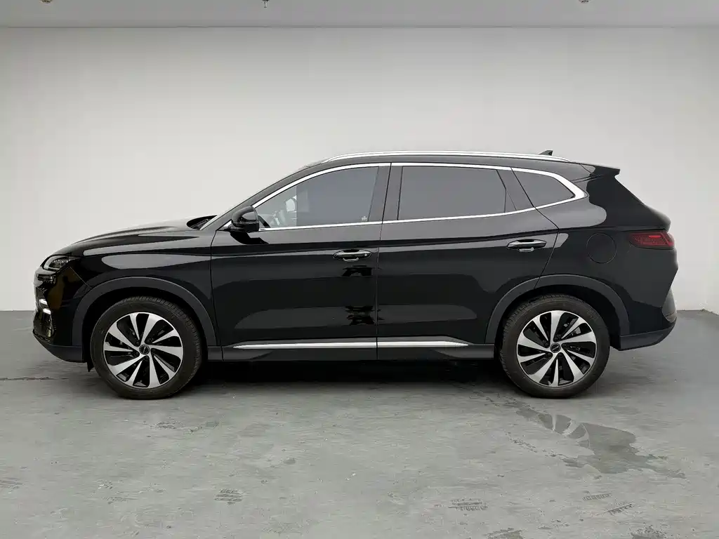BYD PLUS New Energy 2024 — фото 11